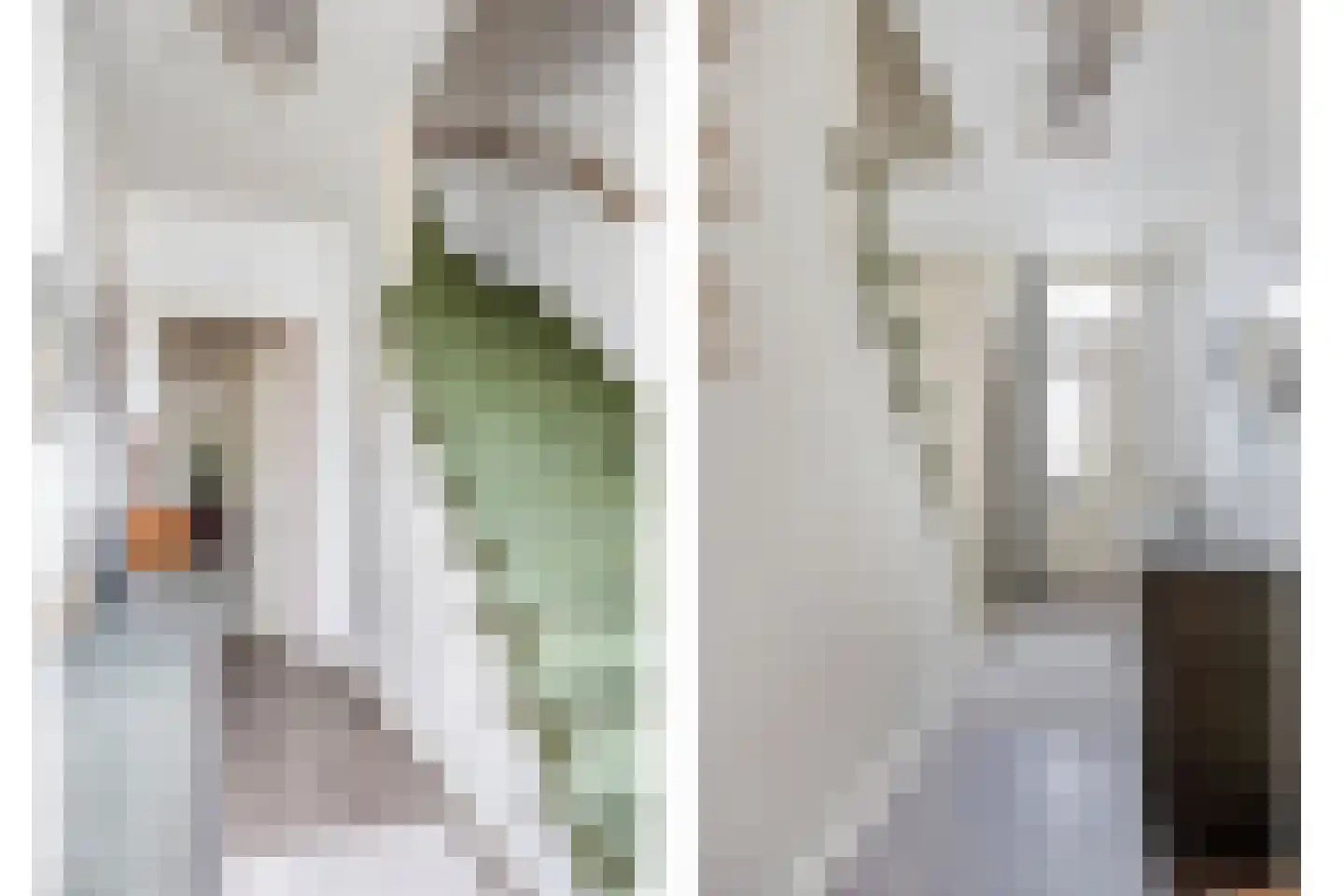 Kapelstraat 64 Beek en Donk thumbnail 4