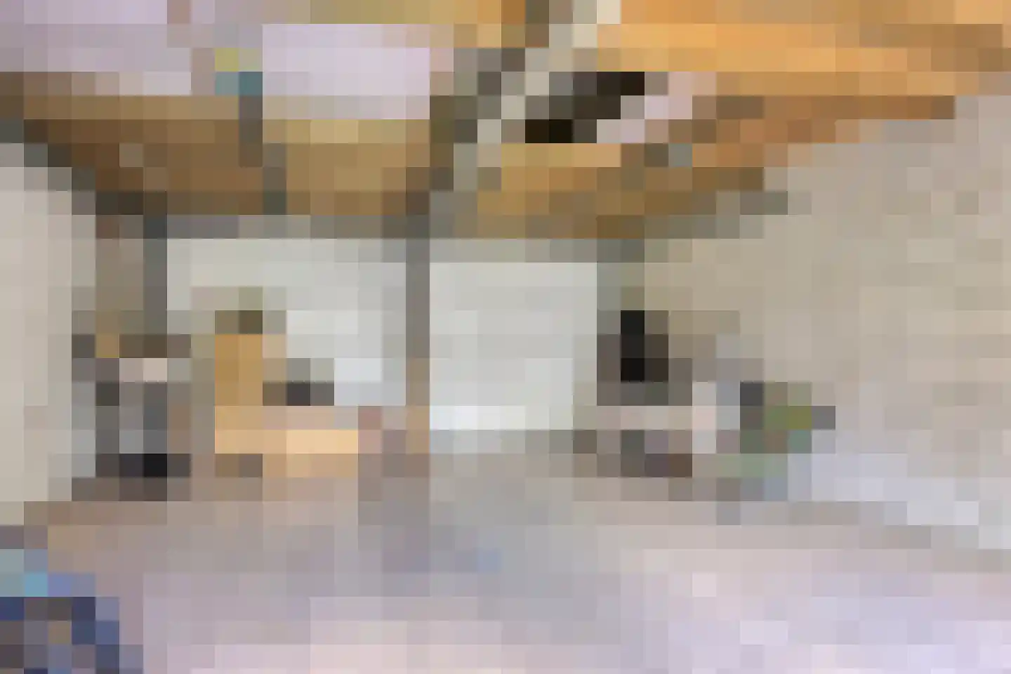 Kapelstraat 64 Beek en Donk thumbnail 40
