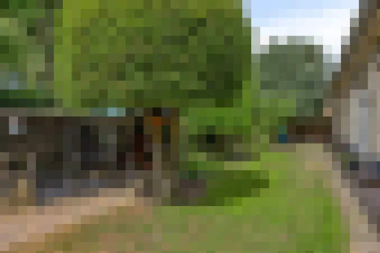 Kapelstraat 64 Beek en Donk thumbnail 55