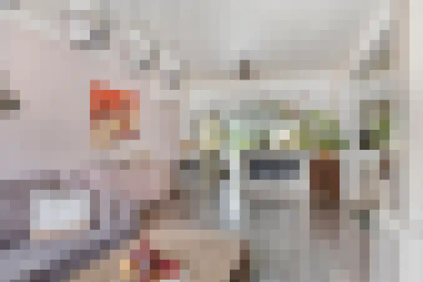 Kapelstraat 64 Beek en Donk thumbnail 6