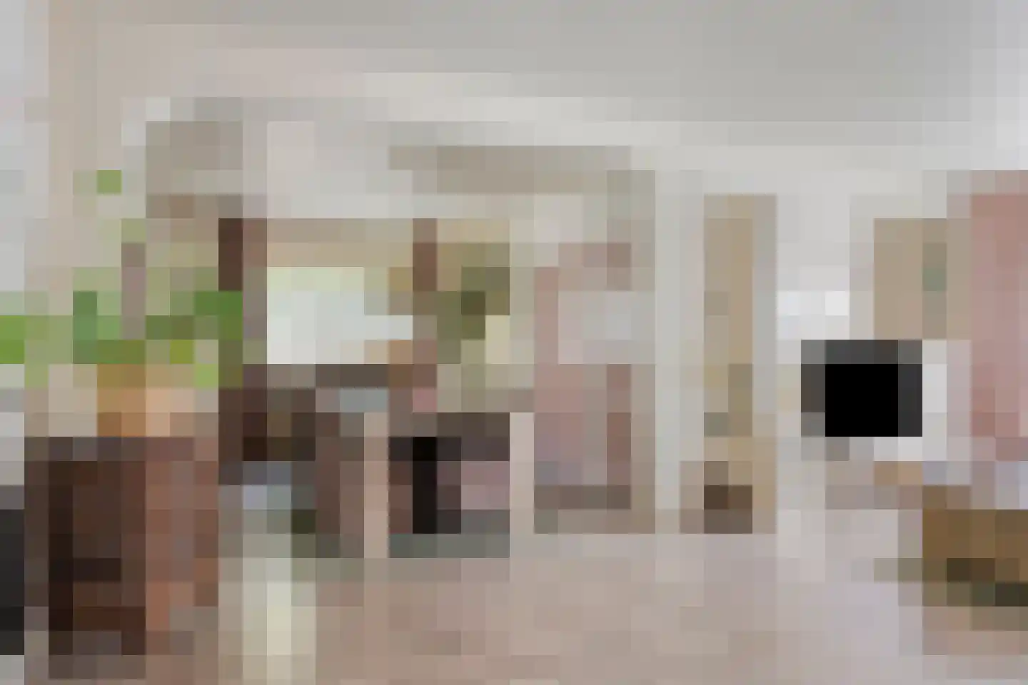 Kapelstraat 64 Beek en Donk thumbnail 8