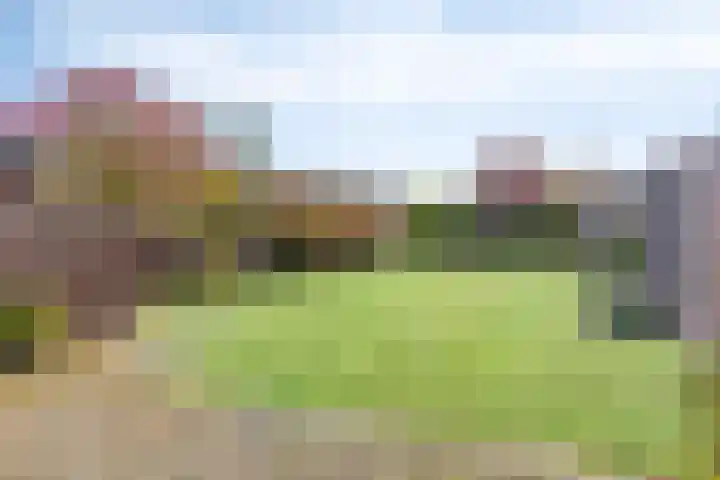 Kapelstraat 64 Veghel thumbnail 31