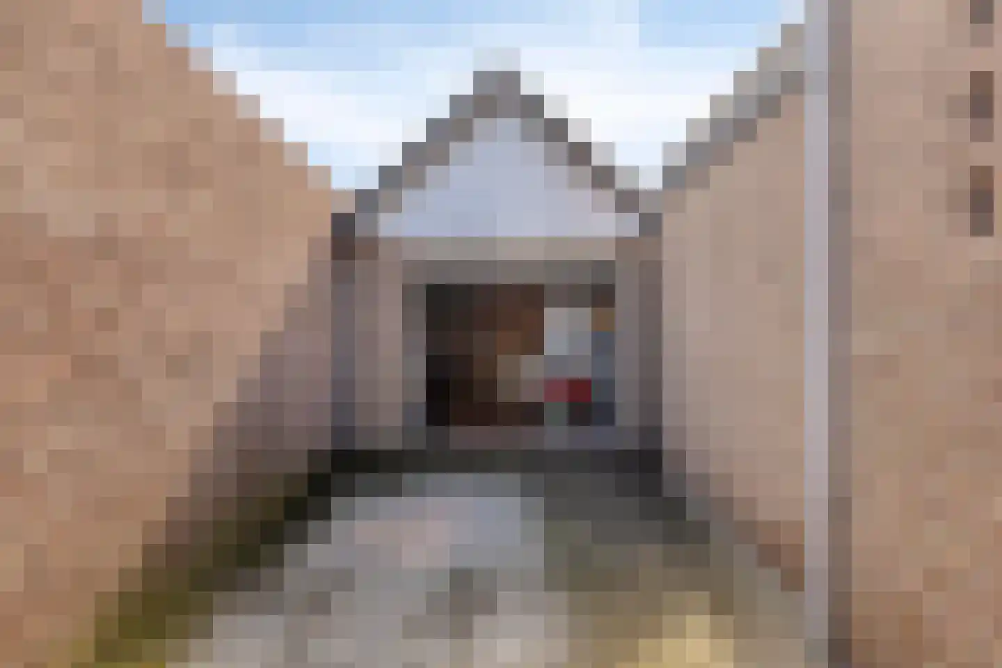 Kapelstraat 64 Veghel thumbnail 39