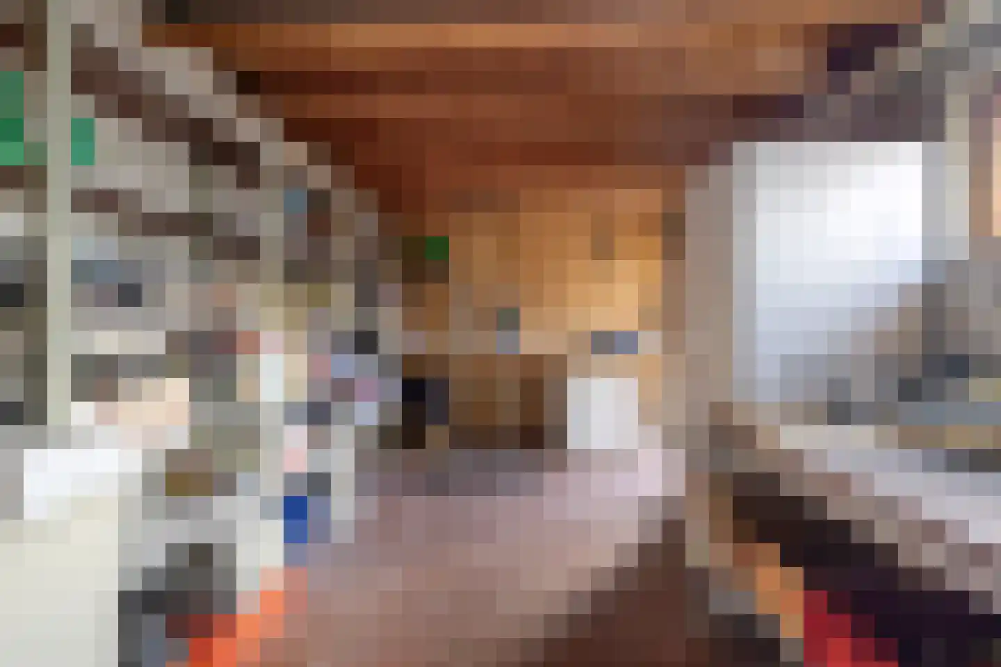 Kapelstraat 64 Veghel thumbnail 41