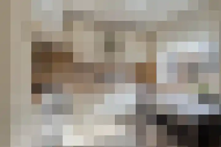 Kapelstraat 64 Veghel thumbnail 5