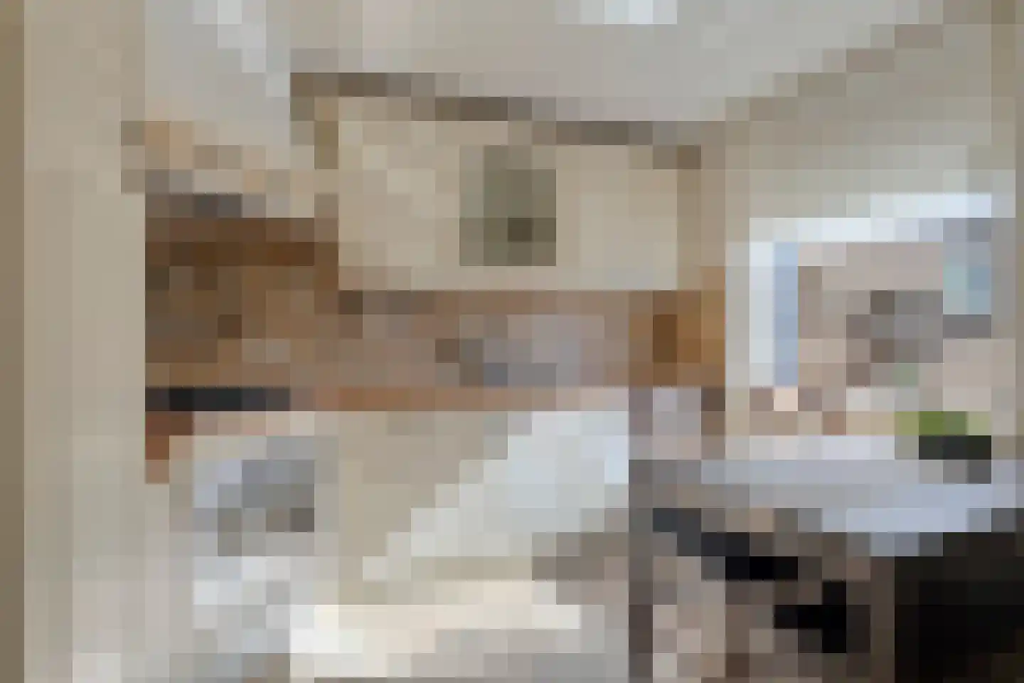 Kapelstraat 64 Veghel thumbnail 5