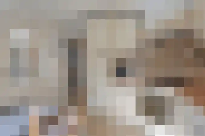 Kapelstraat 64 Veghel thumbnail 6