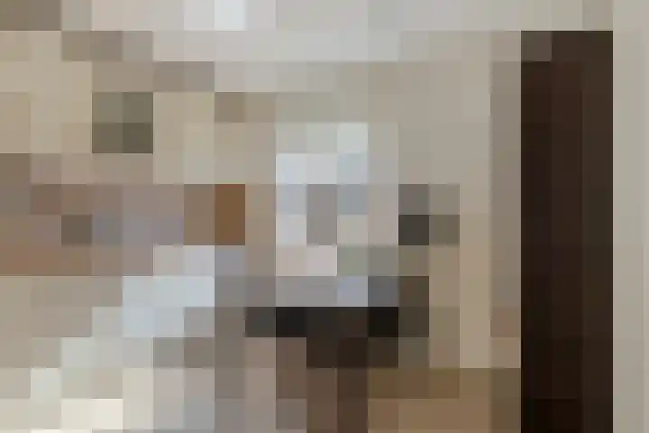 Kapelstraat 64 Veghel thumbnail 7
