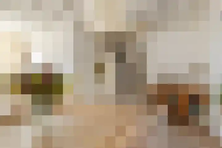 Kapelstraat 65 Utrecht thumbnail 11
