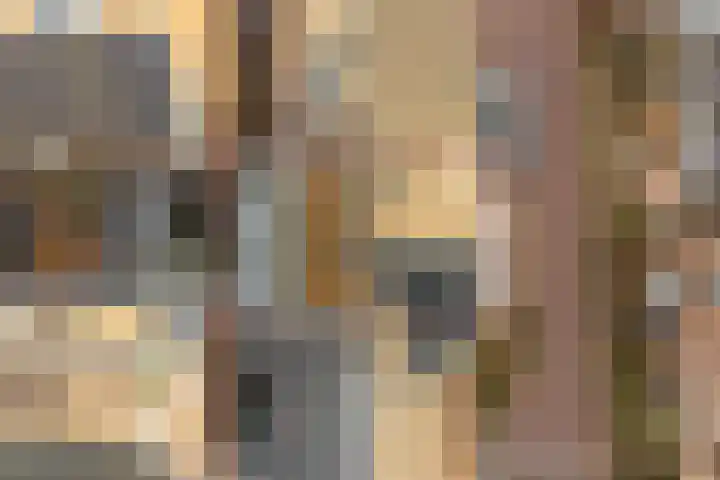 Kapelstraat 65 Utrecht thumbnail 33