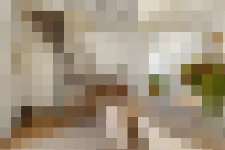 Kapelstraat 65 Utrecht thumbnail 9