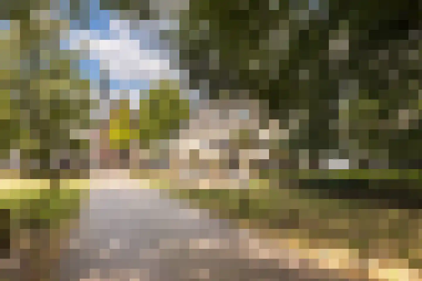 Kapelstraat 66 a Heeze thumbnail 34