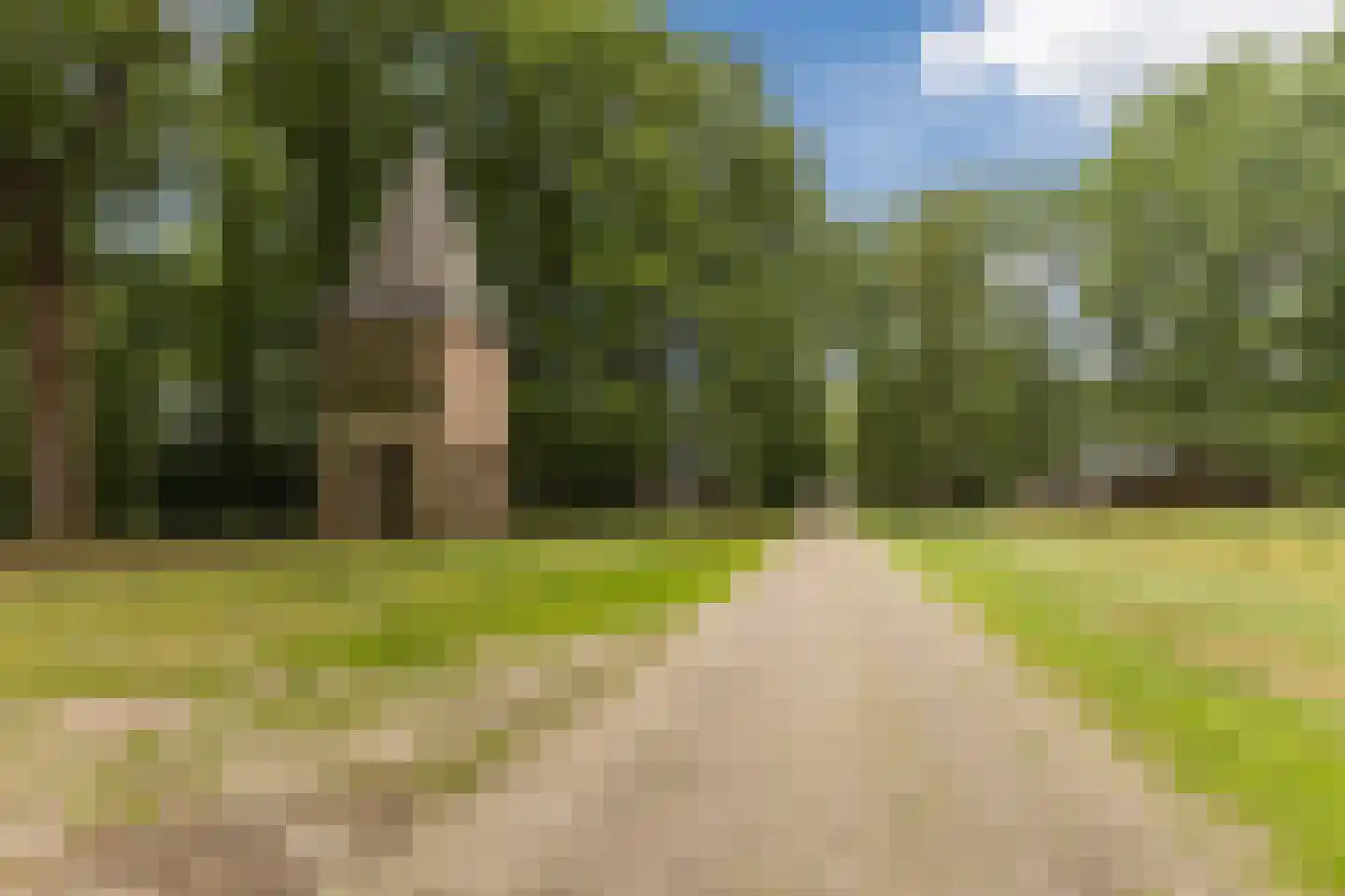 Kapelstraat 66 a Heeze thumbnail 35