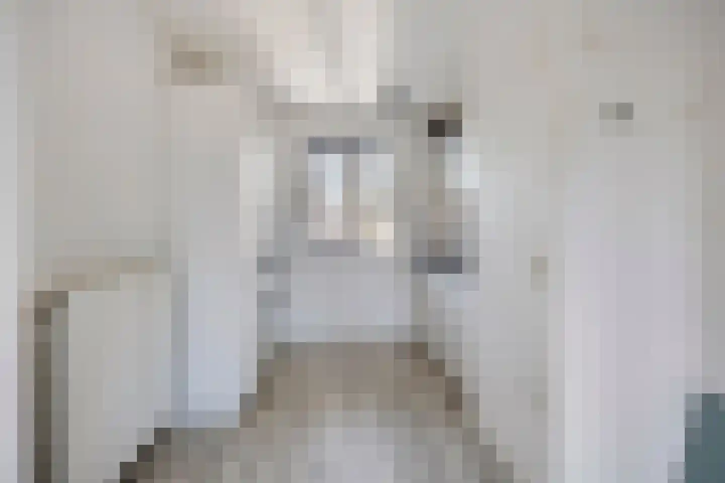Kapelstraat 67 Uden thumbnail 11