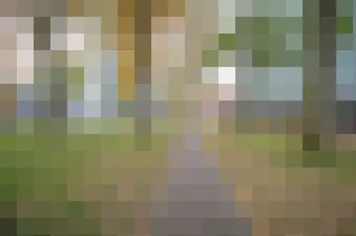 Kapelstraat 68 Emmen thumbnail 4