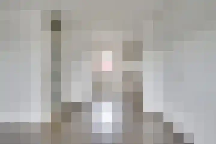 Kapelstraat 69 Uden thumbnail 8