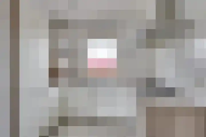 Kapelstraat 69 Uden thumbnail 9