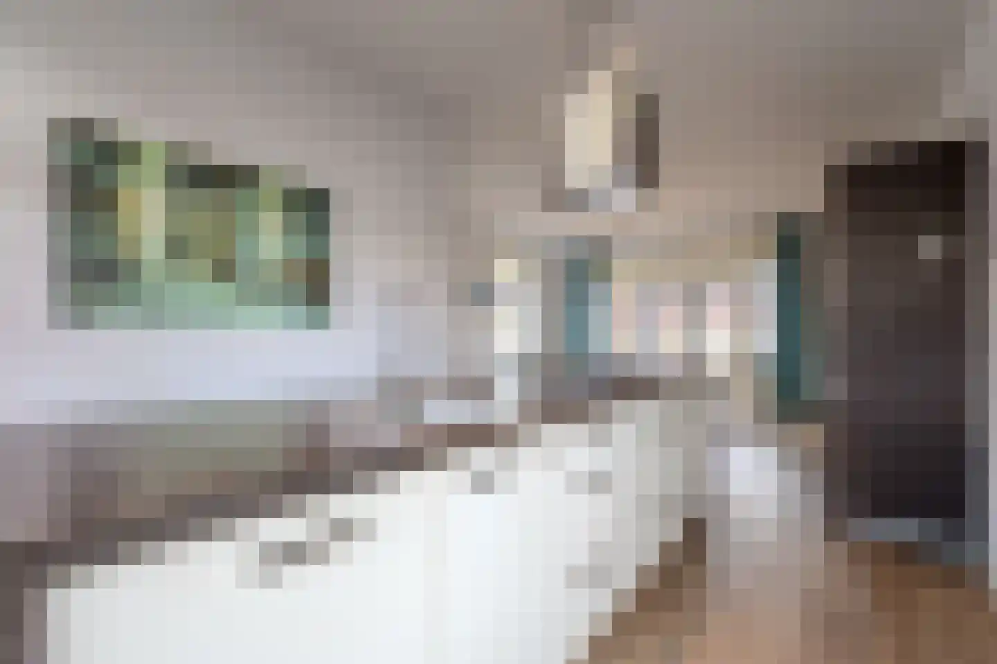 Kapelstraat 7 a Liempde thumbnail 17
