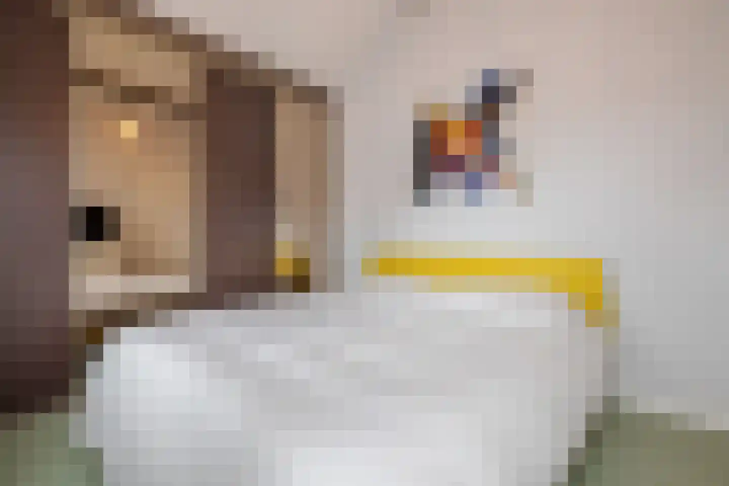 Kapelstraat 7 a Liempde thumbnail 22