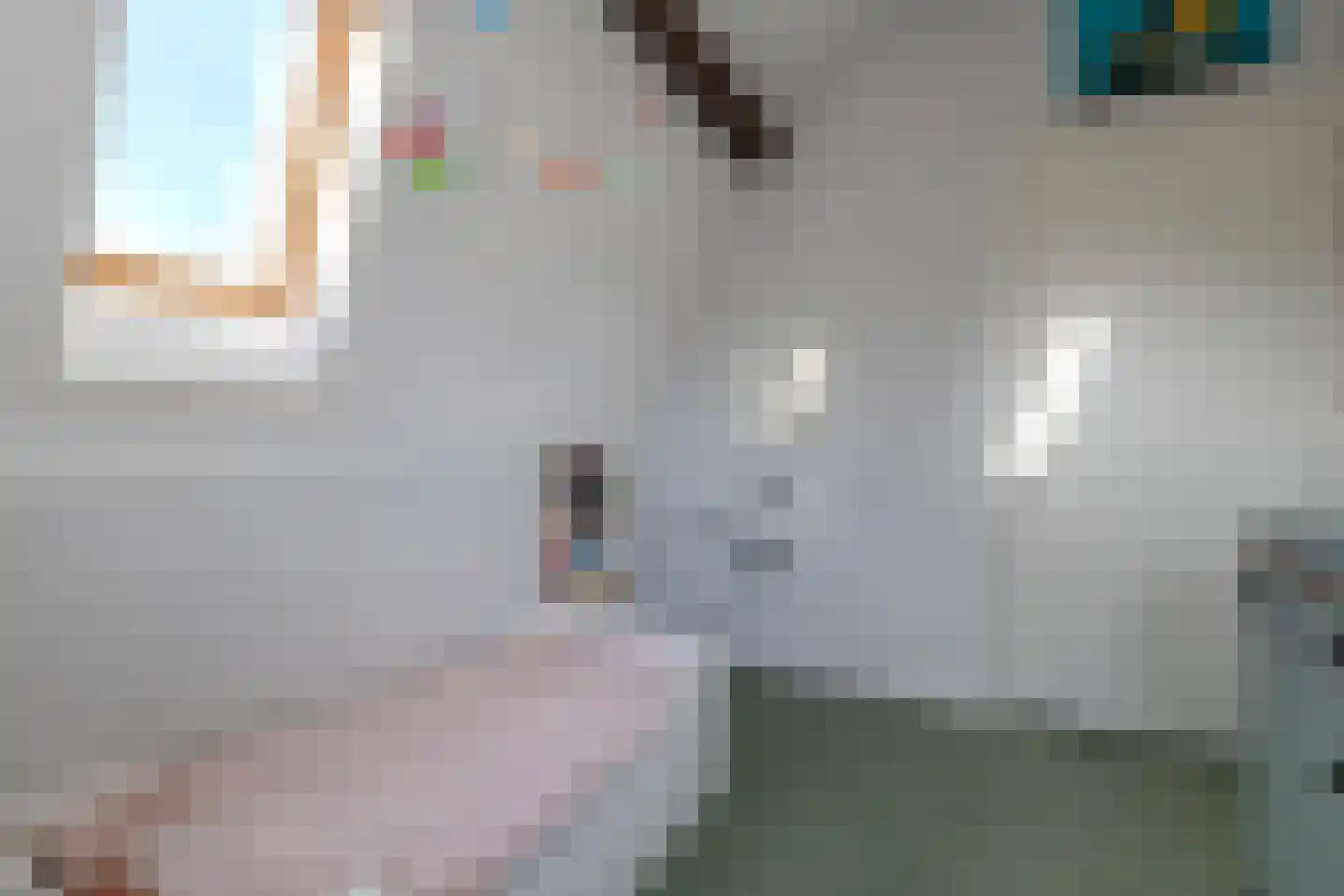 Kapelstraat 7 a Liempde thumbnail 26