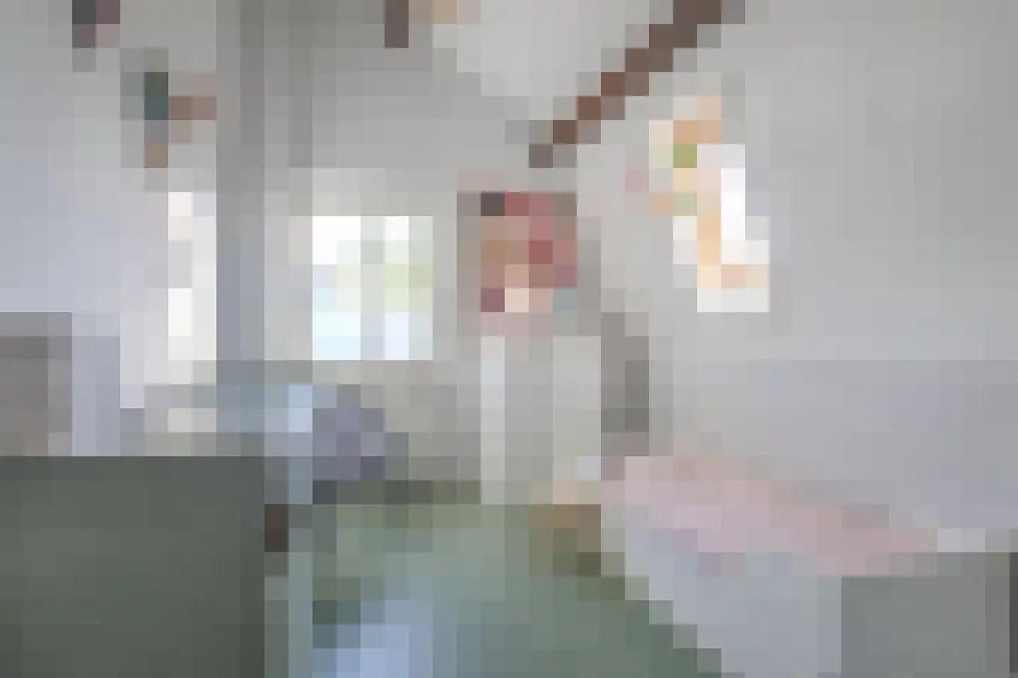 Kapelstraat 7 a Liempde thumbnail 27
