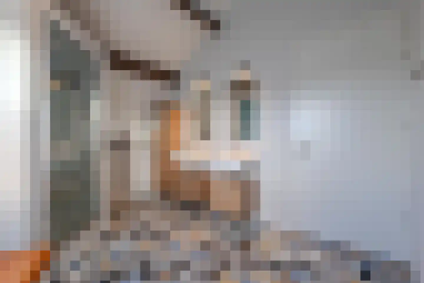 Kapelstraat 7 a Liempde thumbnail 30