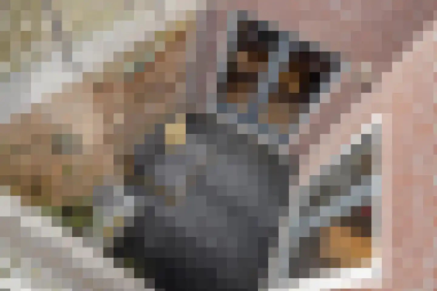 Kapelstraat 7 a Liempde thumbnail 38