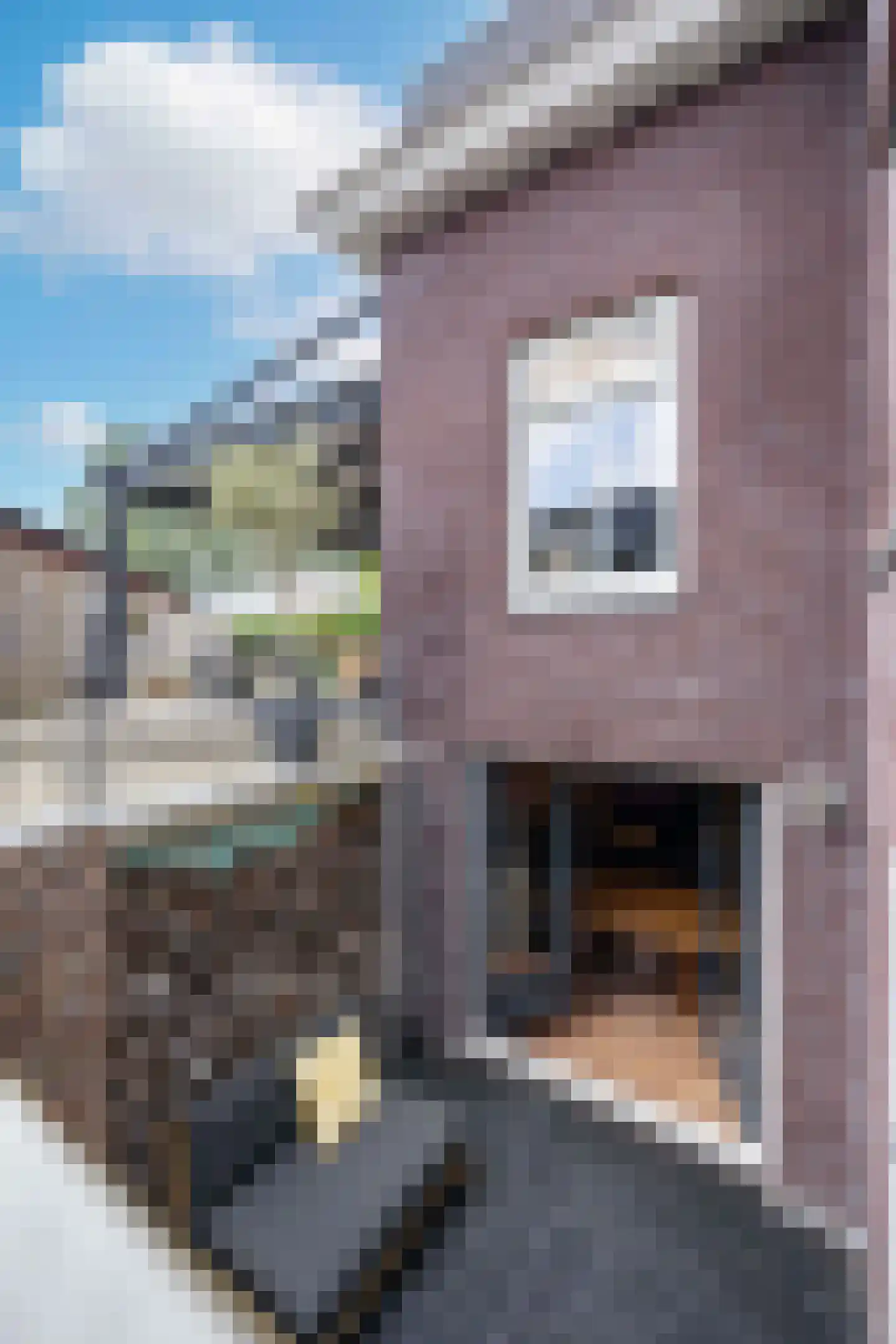 Kapelstraat 7 a Liempde thumbnail 40