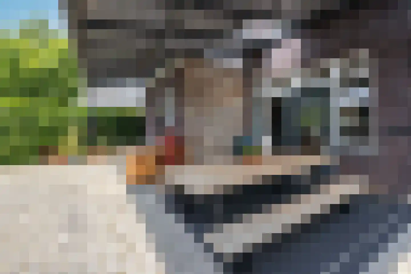 Kapelstraat 7 a Liempde thumbnail 48