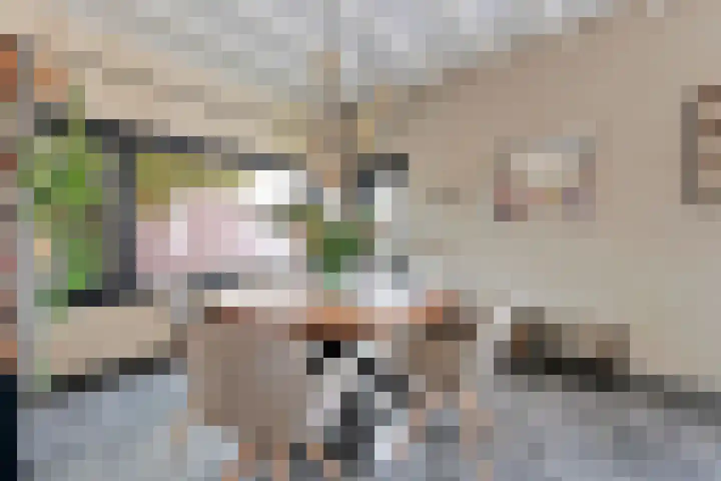 Kapelstraat 7 Bussum thumbnail 12