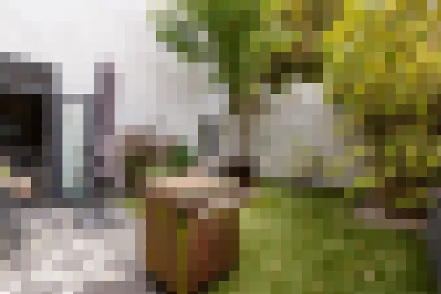 Kapelstraat 7 Bussum thumbnail 26