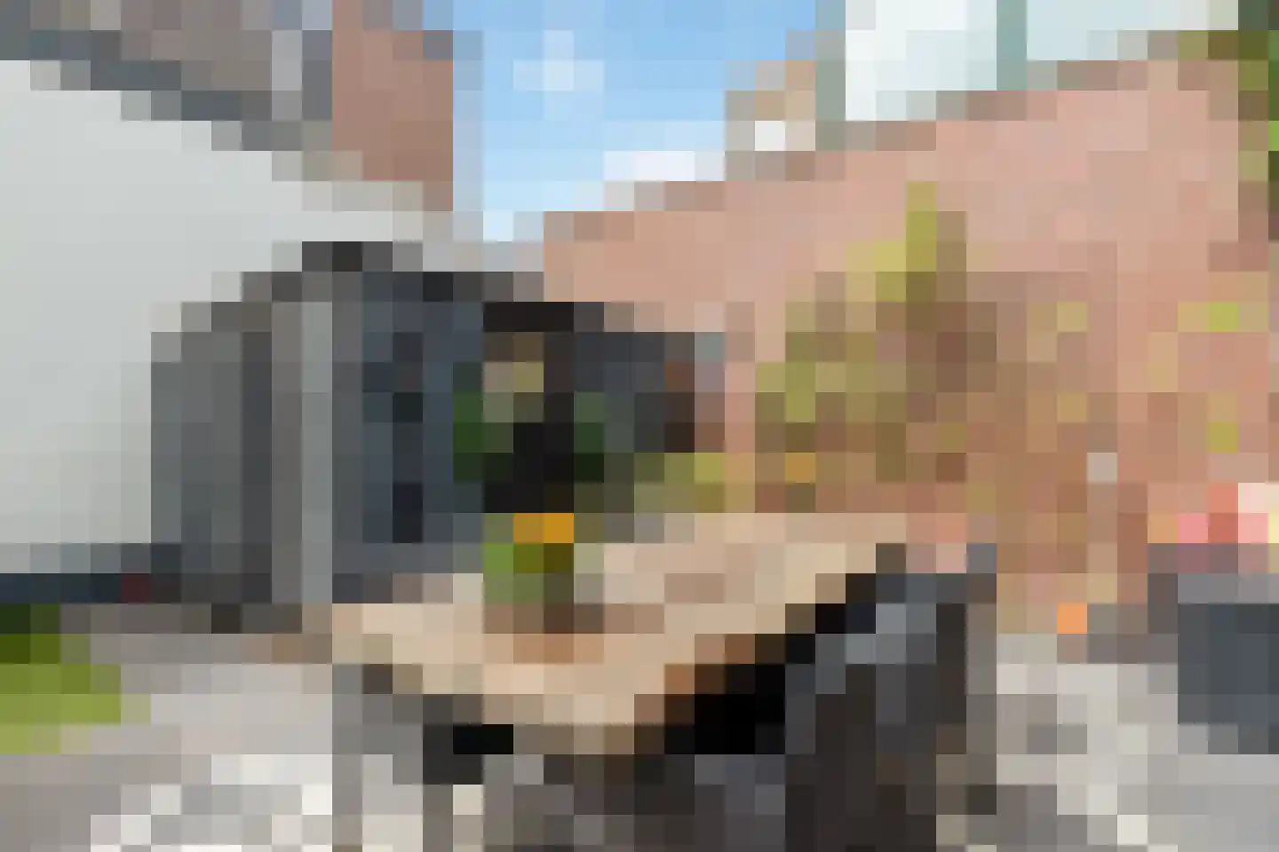 Kapelstraat 7 Bussum thumbnail 27