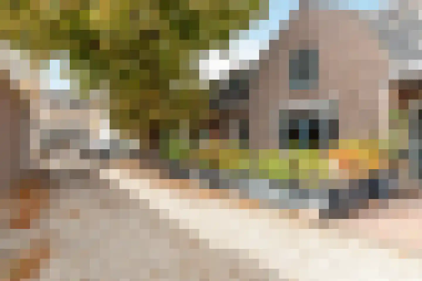 Kapelstraat 7 Bussum thumbnail 28