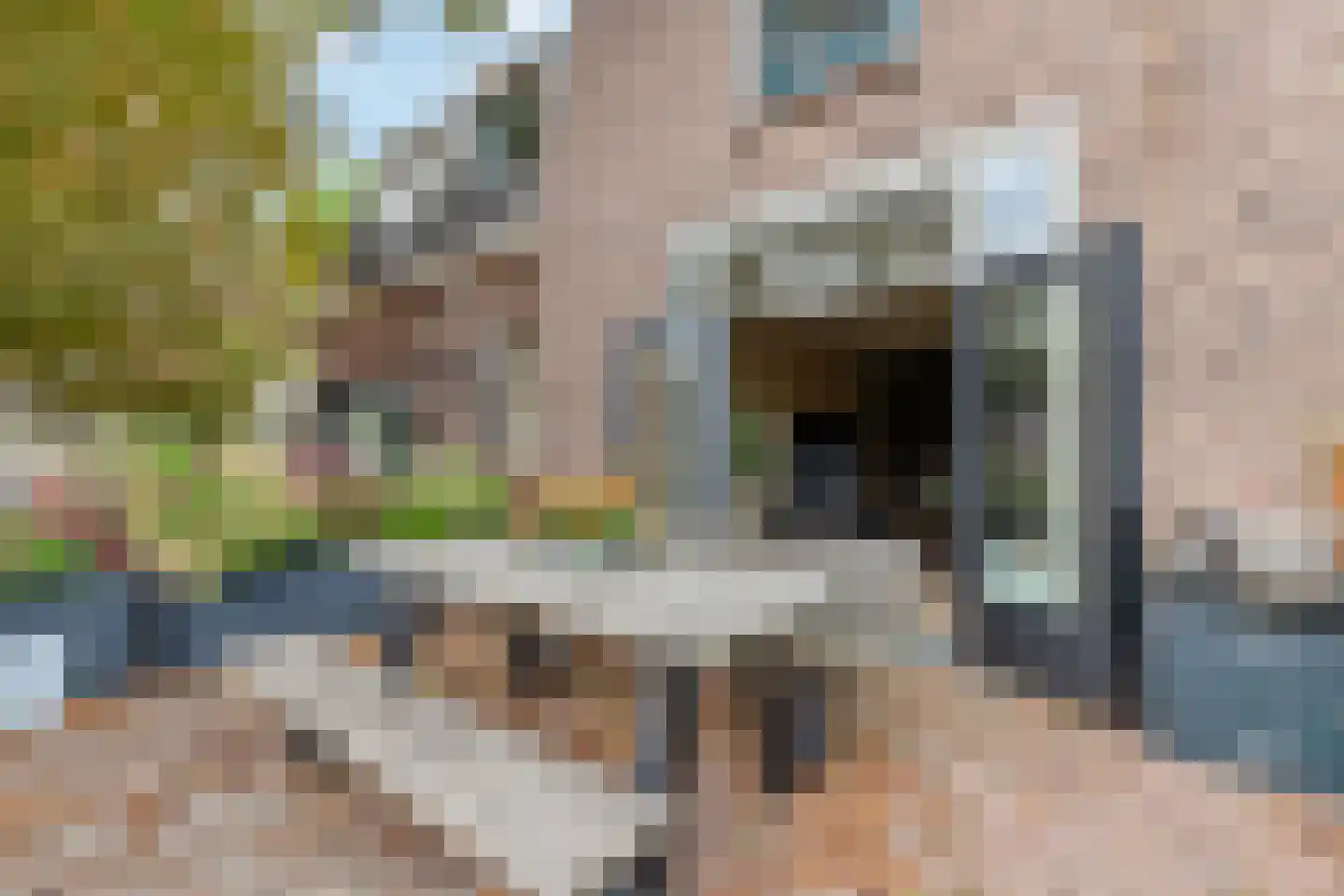 Kapelstraat 7 Bussum thumbnail 7