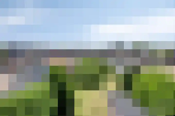 Kapelstraat 7 Heeze thumbnail 23
