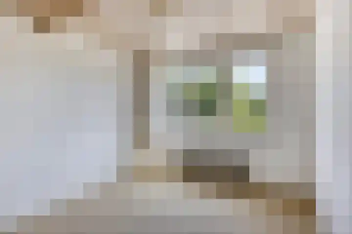 Kapelstraat 7 Heeze thumbnail 8