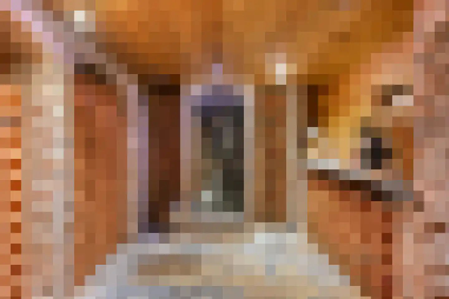 Kapelstraat 7 Riethoven thumbnail 11