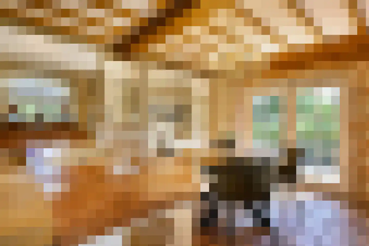 Kapelstraat 7 Riethoven thumbnail 24