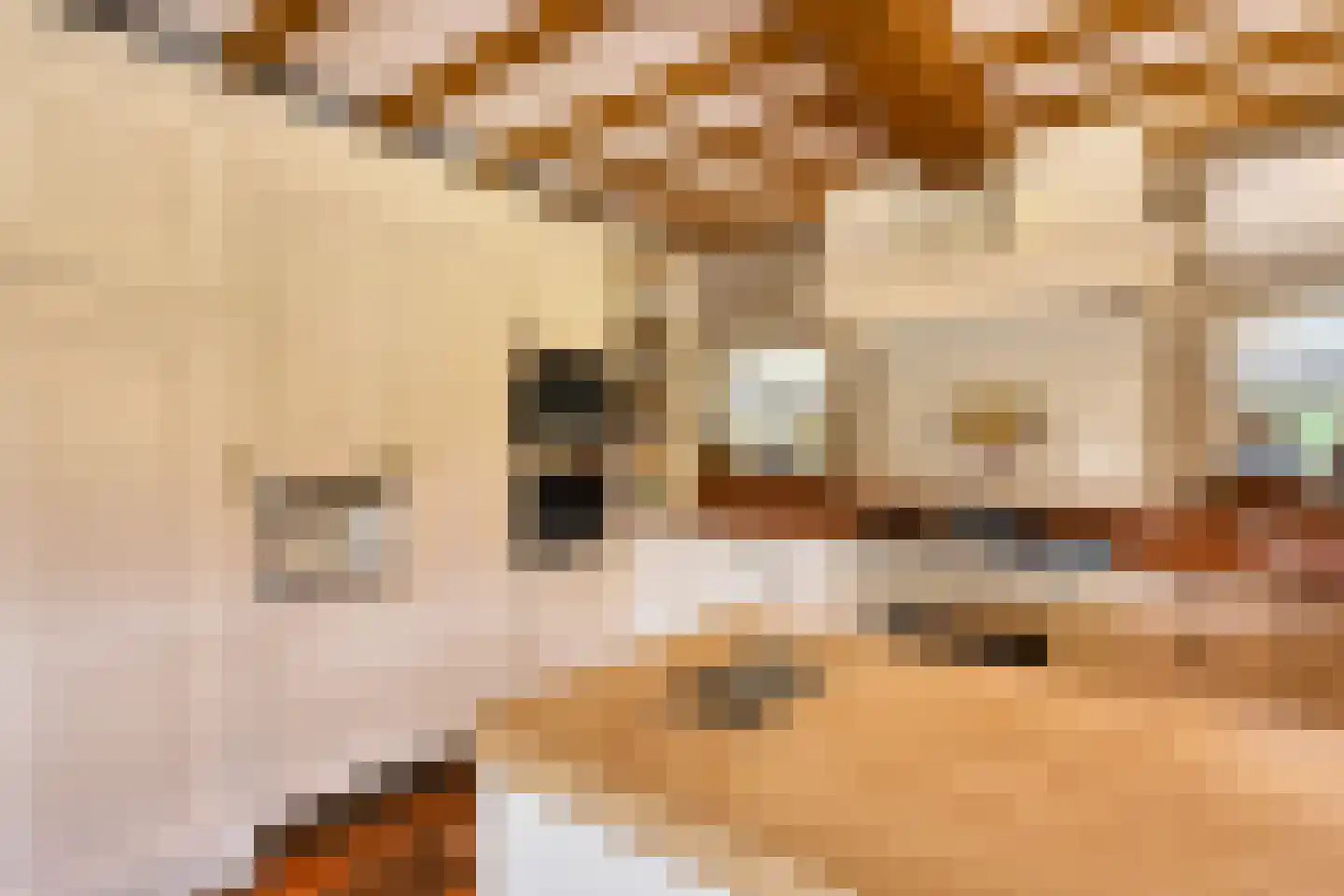 Kapelstraat 7 Riethoven thumbnail 26