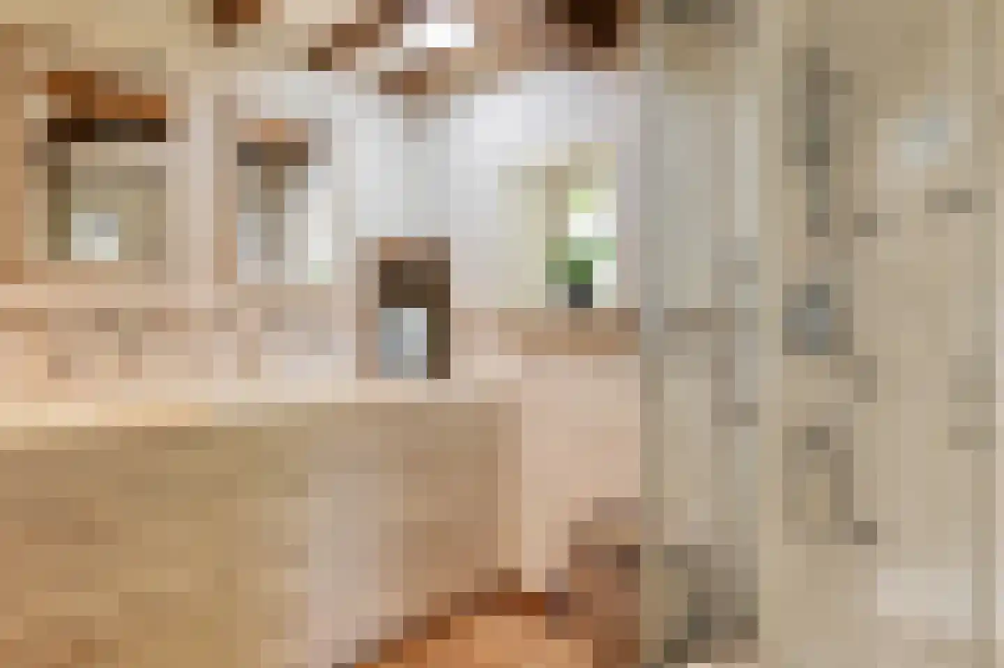 Kapelstraat 7 Riethoven thumbnail 28