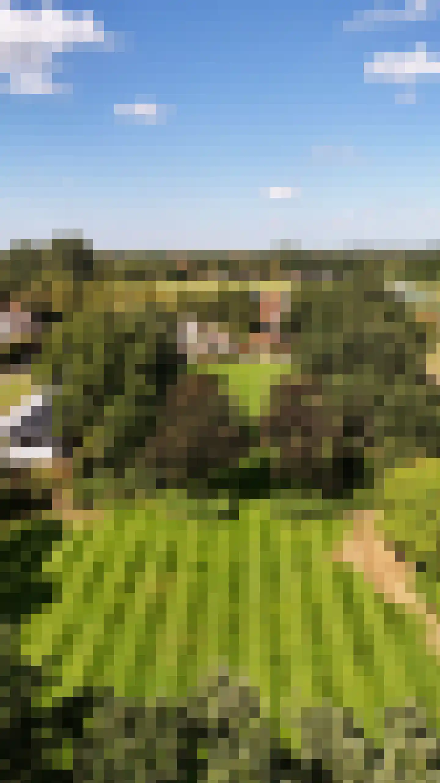 Kapelstraat 7 Riethoven thumbnail 36