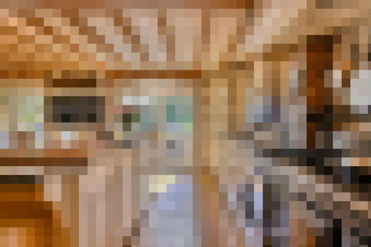 Kapelstraat 7 Riethoven thumbnail 5