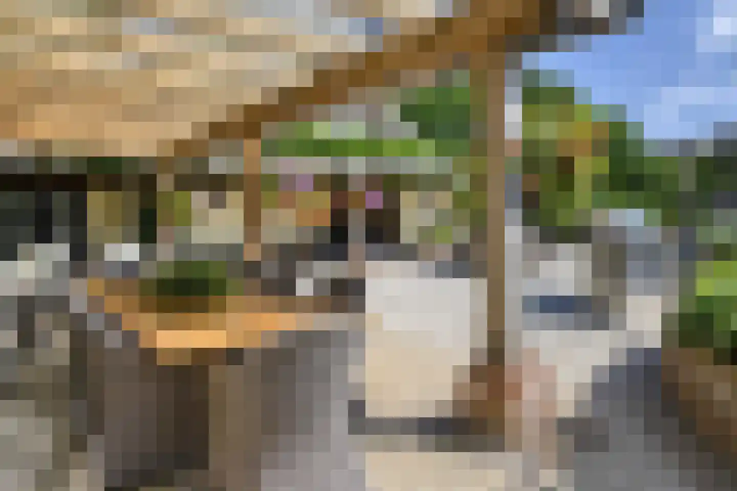 Kapelstraat 7 Riethoven thumbnail 9