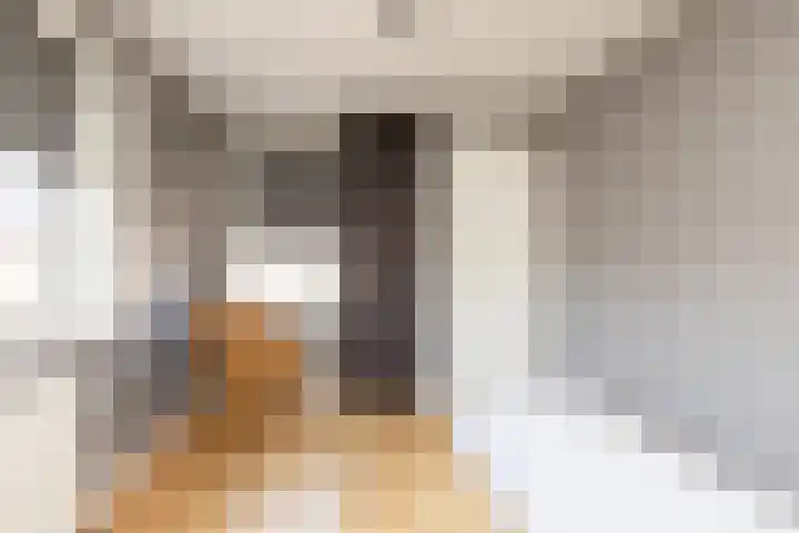 Kapelstraat 7 Sneek thumbnail 23