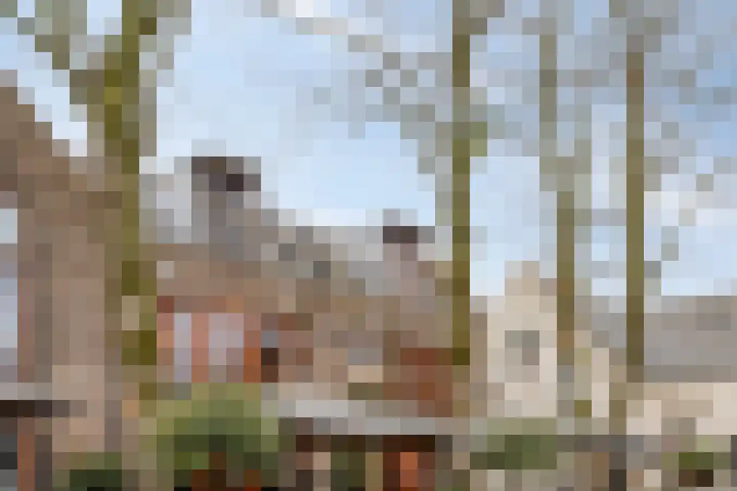 Kapelstraat 75 H Uden thumbnail 27
