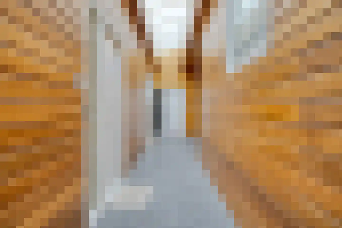 Kapelstraat 75 H Uden thumbnail 7