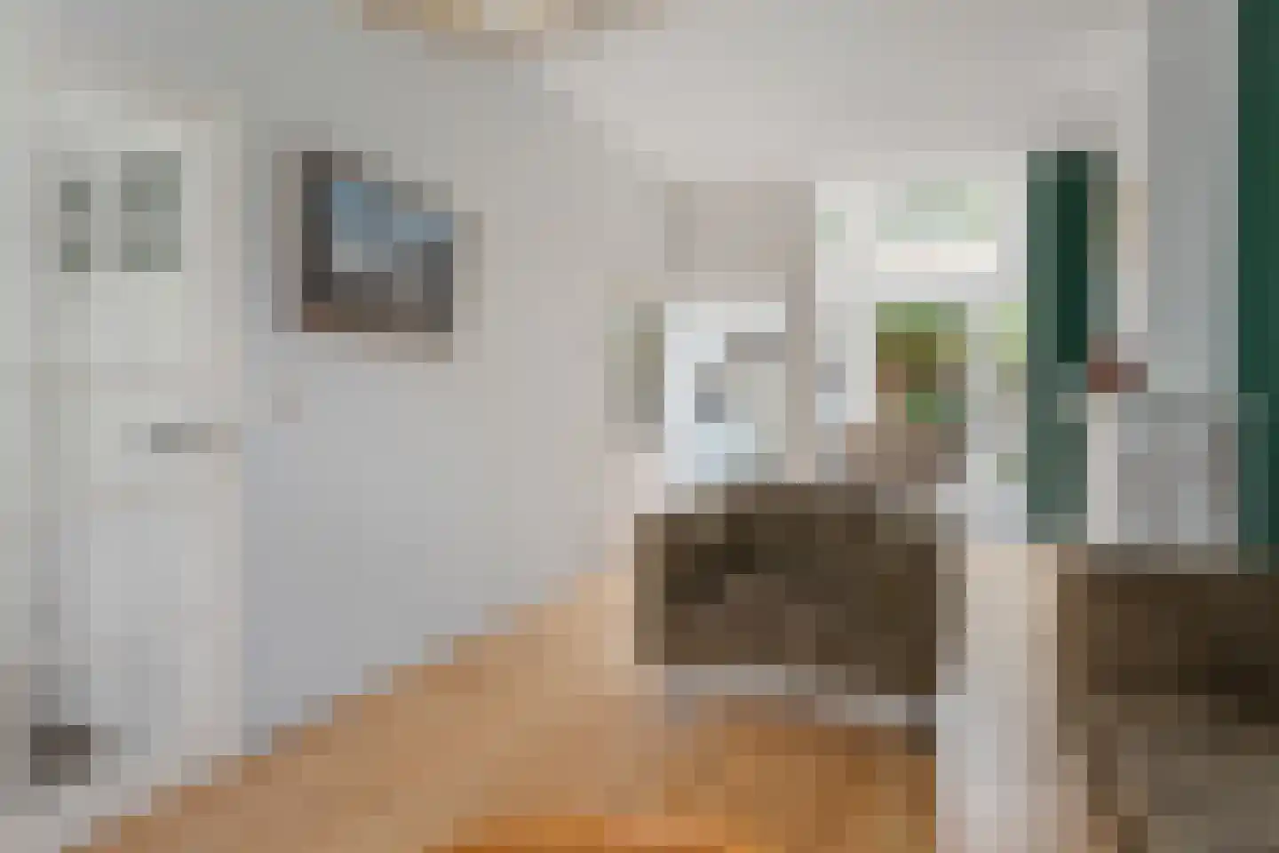 Kapelstraat 79 Utrecht thumbnail 5