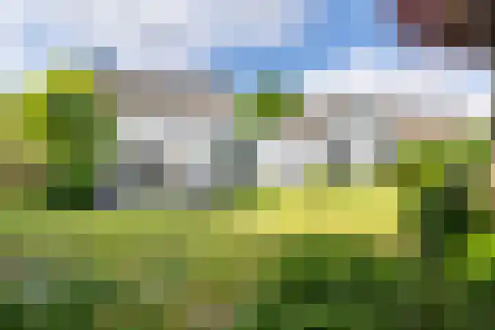 Kapelstraat 8 in Leende