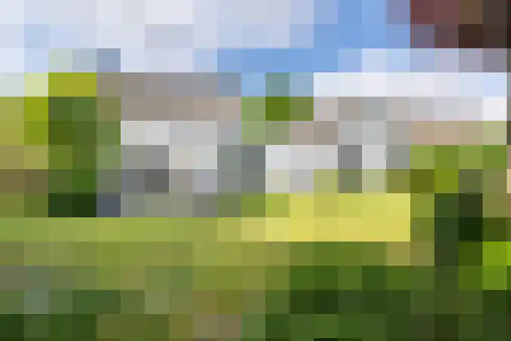 Kapelstraat 8 Leende thumbnail 15