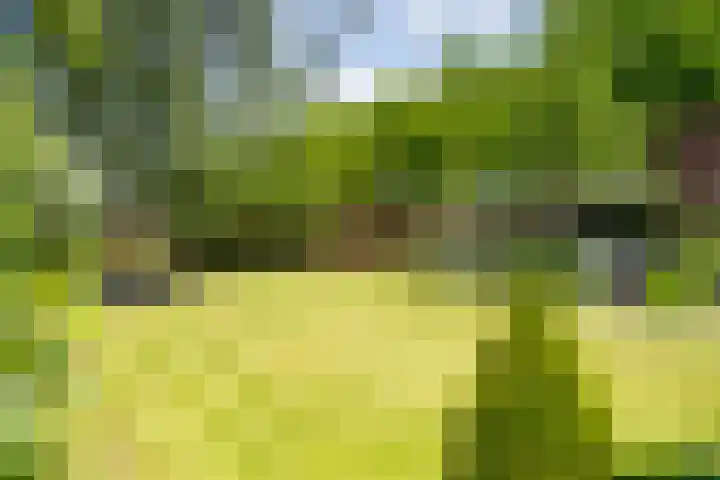 Kapelstraat 8 Leende thumbnail 4